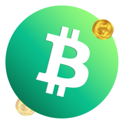 1BCH