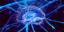 AB4AD (Antibodies for Alzheimer's Disease)