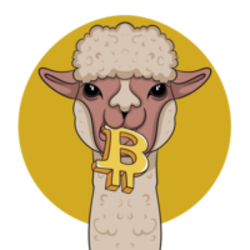 Alpaca