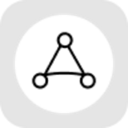 AppLovin Tokenized Stock (Reality)