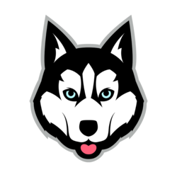 Balto Token