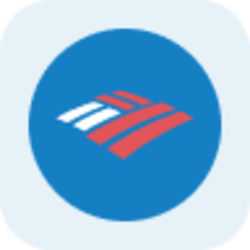 Bank of America Tokenized Stock (Reality)