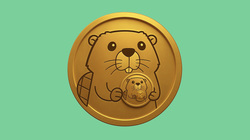 Beavers by CEDEN