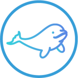 Beluga Protocol
