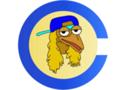 Bird Dog on Base