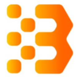 Bitcoin and Ethereum Standard