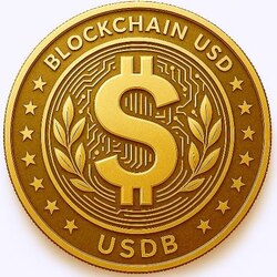 Blockchain USD