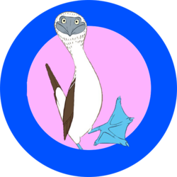 Blue-Footed Booby