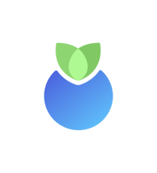 Blueberry