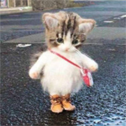 boots [OLD]