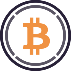 Bridged Wrapped Bitcoin (TON Bridge)