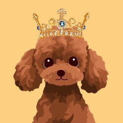 BunPoodle