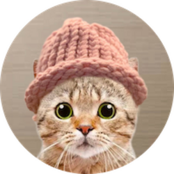 CatWifHat