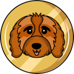 Cavapoo