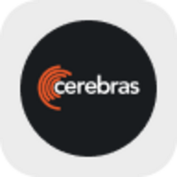 Cerebras Systems Tokenized Stock (Reality)