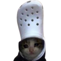 croc cat