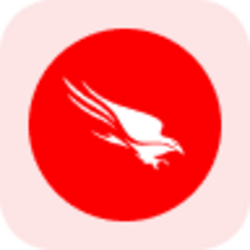 CrowdStrike Tokenized Stock (Reality)