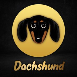 Dachshund
