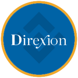 Direxion Semiconductor Bear 3X ETF (bStocks Tokenized Stock)