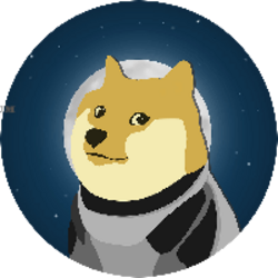 DOGE-1