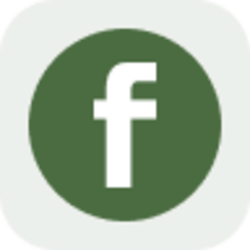 Fabrinet Tokenized Stock (Reality)