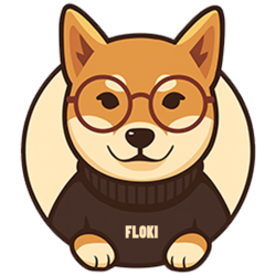 Flōki 𝕏 CEO