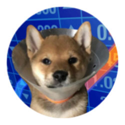 gogowifcone