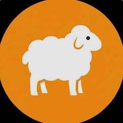 羊群币 (Herd)