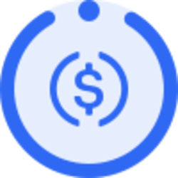 Instadapp USDC