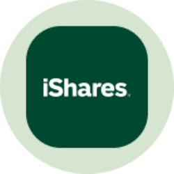iShares TIPS Bond ETF (Ondo Tokenized ETF)