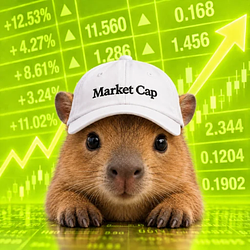 Market Cap
