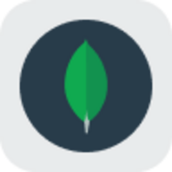 MongoDB Tokenized Stock (Reality)