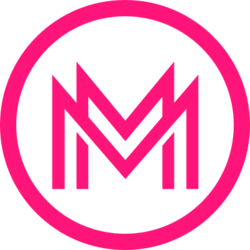 Musk Metaverse