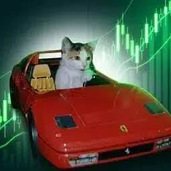 No Risk No Rari