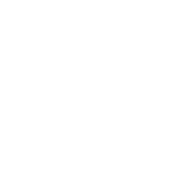 Paca AI