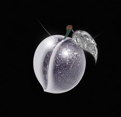 PLUMS