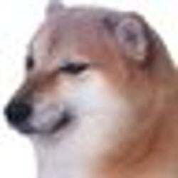 pochita