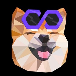 Polygon BabyDoge