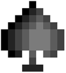 Polyroll