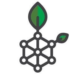 Rootstock Bitcoin