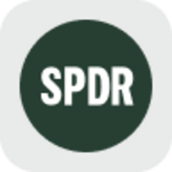 SPDR S&P 500 ETF Trust Tokenized Stock (Reality)