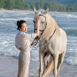 马到成功 (Success)