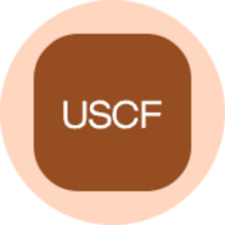 US Brent Oil Fund (Ondo Tokenized)