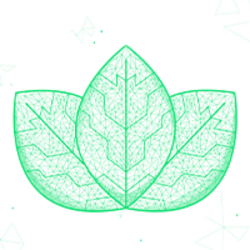 Viridis Network