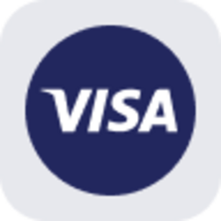 Visa Tokenized Stock (Reality)