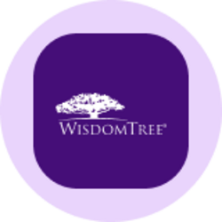 WisdomTree US Quality Dividend Growth Fund (Ondo Tokenized)