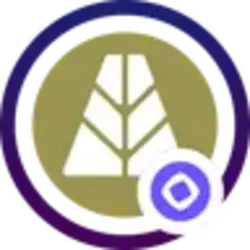 Wrapped Neverland AUSD