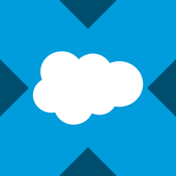 Wrapped Salesforce xStock