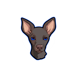 Xolo